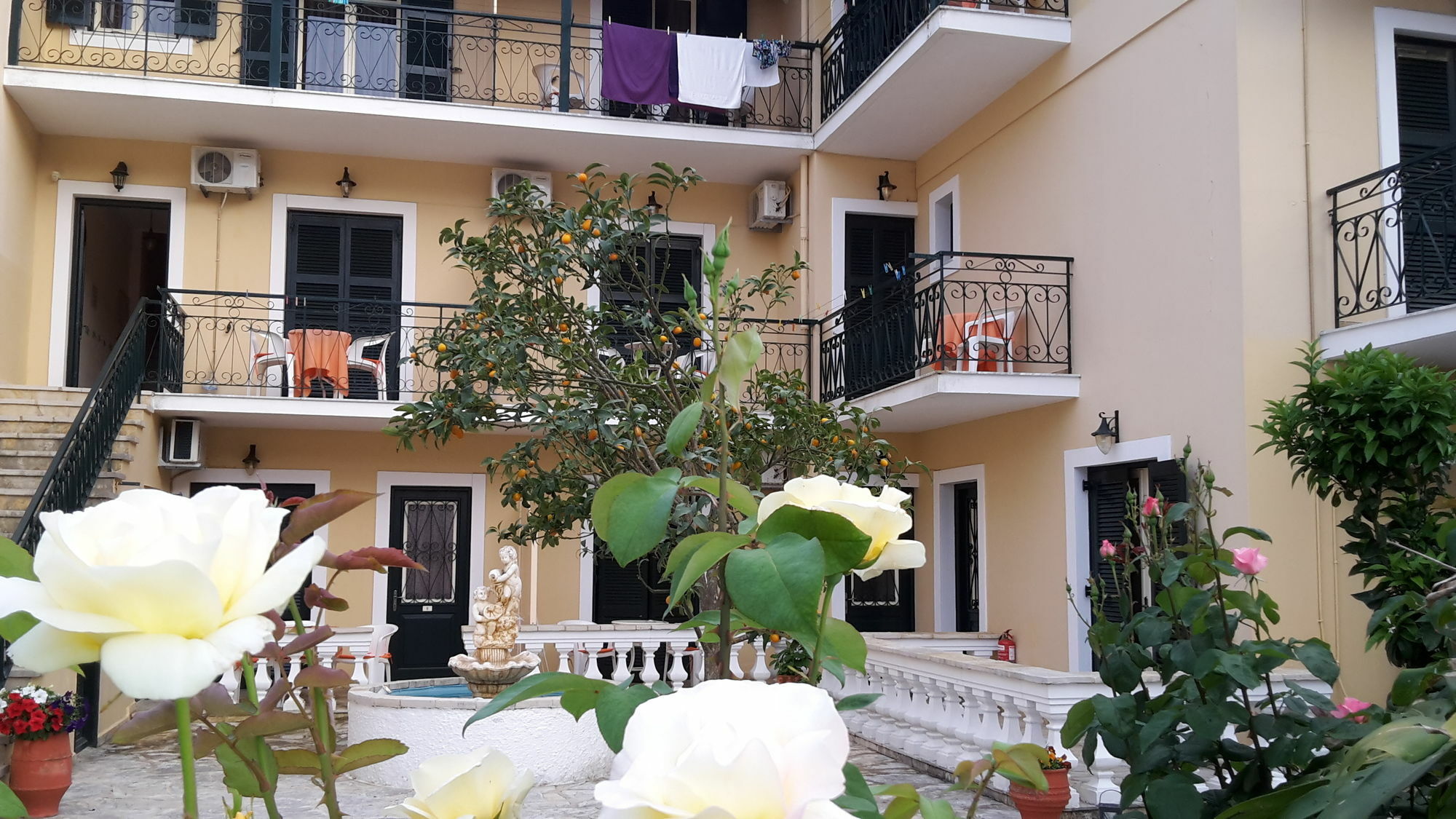 Elli Marina Studios And Apartments Benitses  Dış mekan fotoğraf