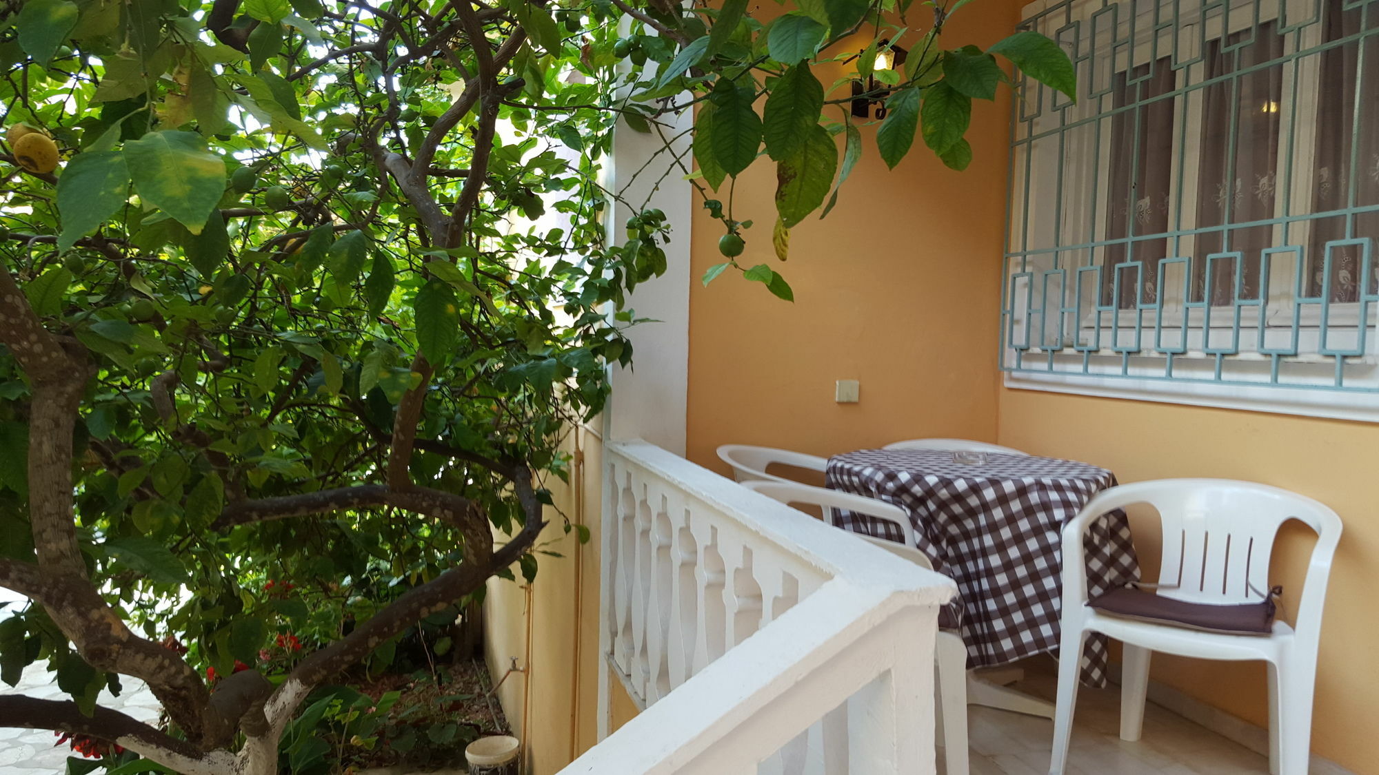 Elli Marina Studios And Apartments Benitses  Dış mekan fotoğraf